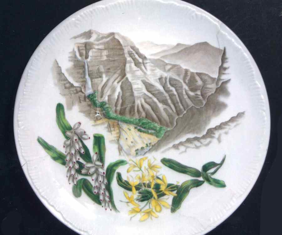 Honolulu Hawaii Dinner Plate by Wedgwood-1