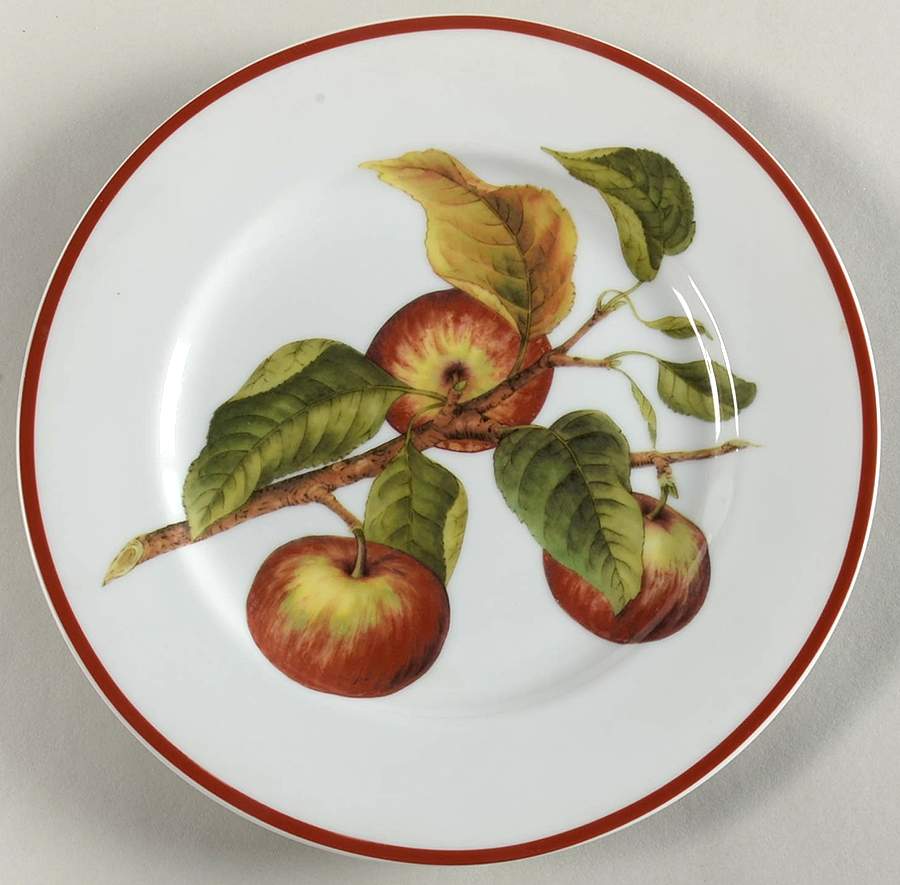 WSO66 Salad Plate by Williams-Sonoma-1