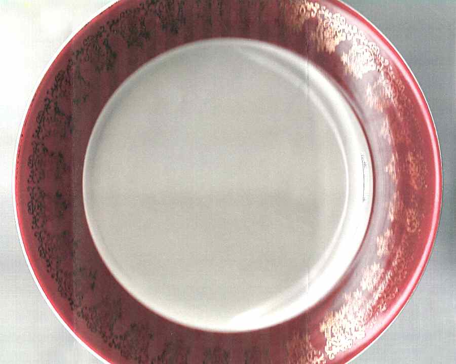 WIL30 Dinner Plate by Arthur J Wilkinson-1