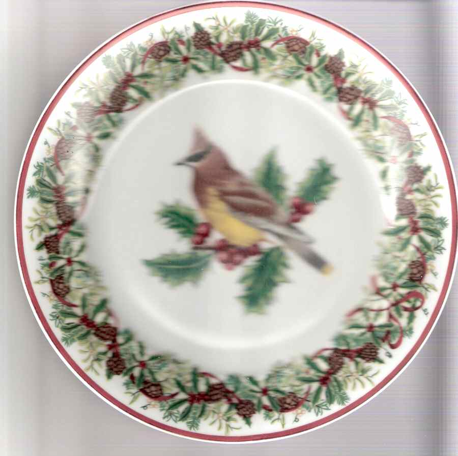 WFE4 Salad Plate by National Wildlife Federation-1