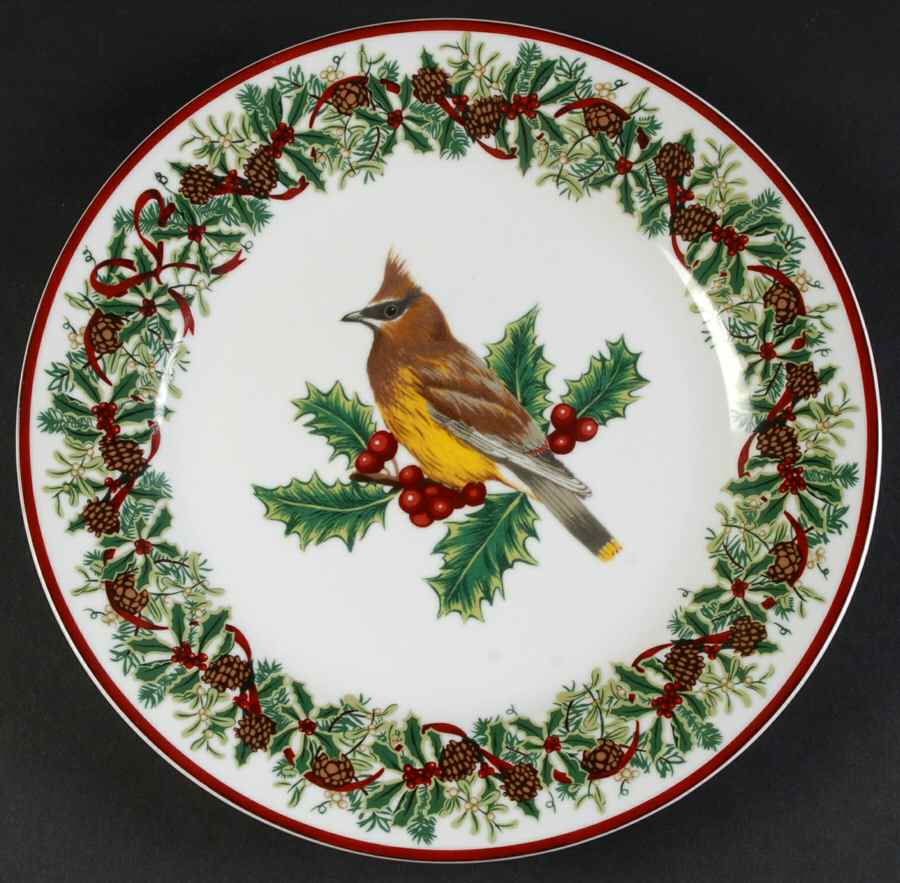 WFE4 Dinner Plate by National Wildlife Federation-1