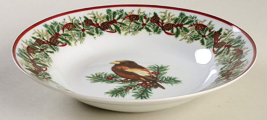 WFE4 Rim Soup Bowl by National Wildlife Federation-1