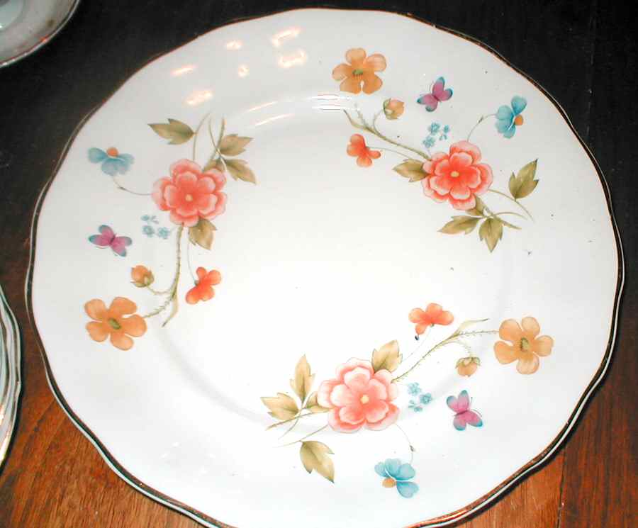WLB80 Dinner Plate by Walbrzych-1
