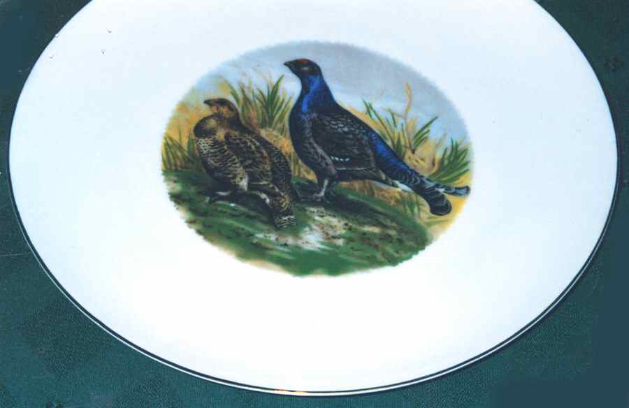 RXH83 Dinner Plate by Retsch & Co-1