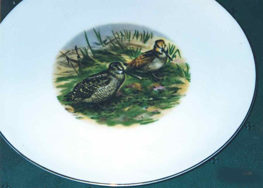 RXH83 Dinner Plate by Retsch & Co-1
