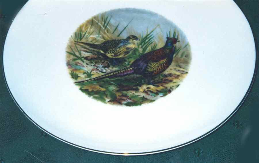 RXH83 Dinner Plate by Retsch & Co-1