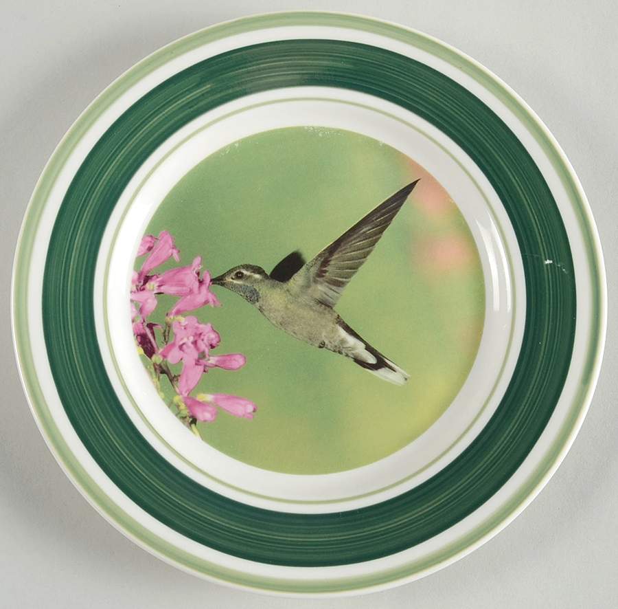 WFE5 Salad Plate by National Wildlife Federation-1