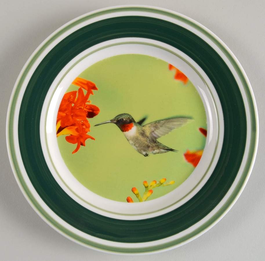 WFE5 Salad Plate by National Wildlife Federation-1