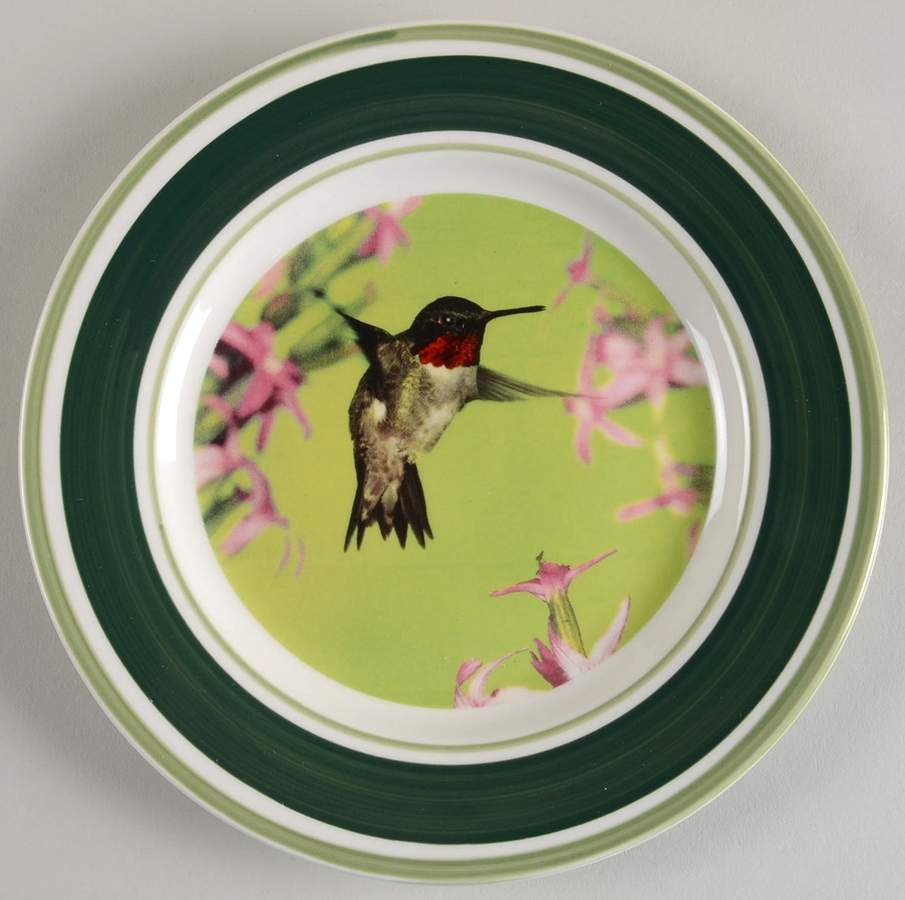 WFE5 Salad Plate by National Wildlife Federation-1