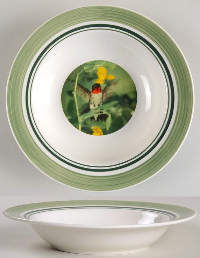 WFE5 Rim Soup Bowl by National Wildlife Federation-1