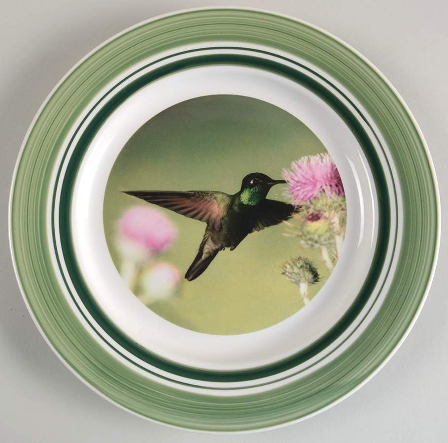 WFE5 Dinner Plate by National Wildlife Federation-1