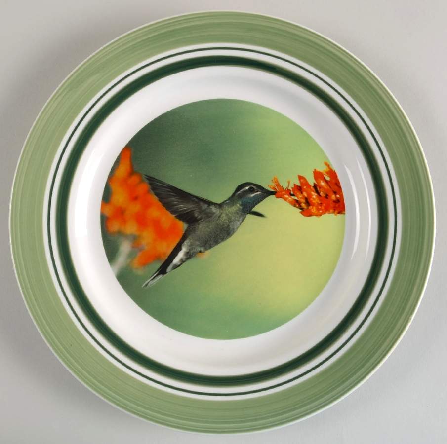 WFE5 Dinner Plate by National Wildlife Federation-1
