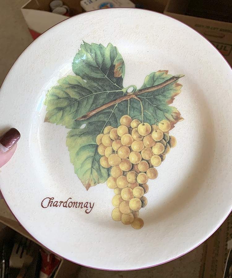 WSO74 Salad Plate by Williams-Sonoma-1