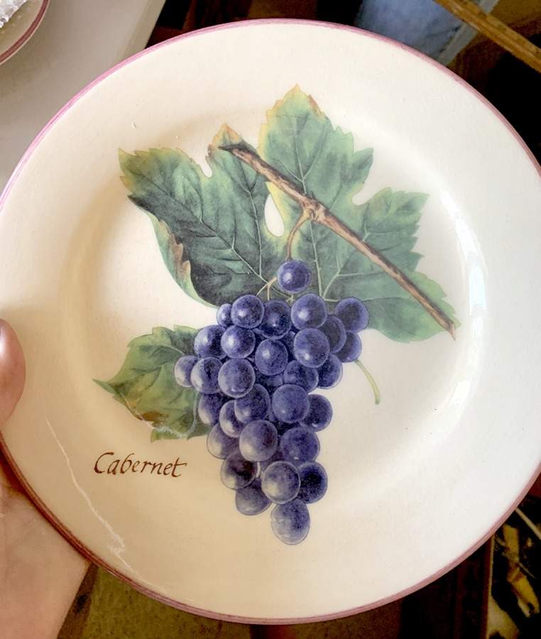 WSO74 Salad Plate by Williams-Sonoma-1