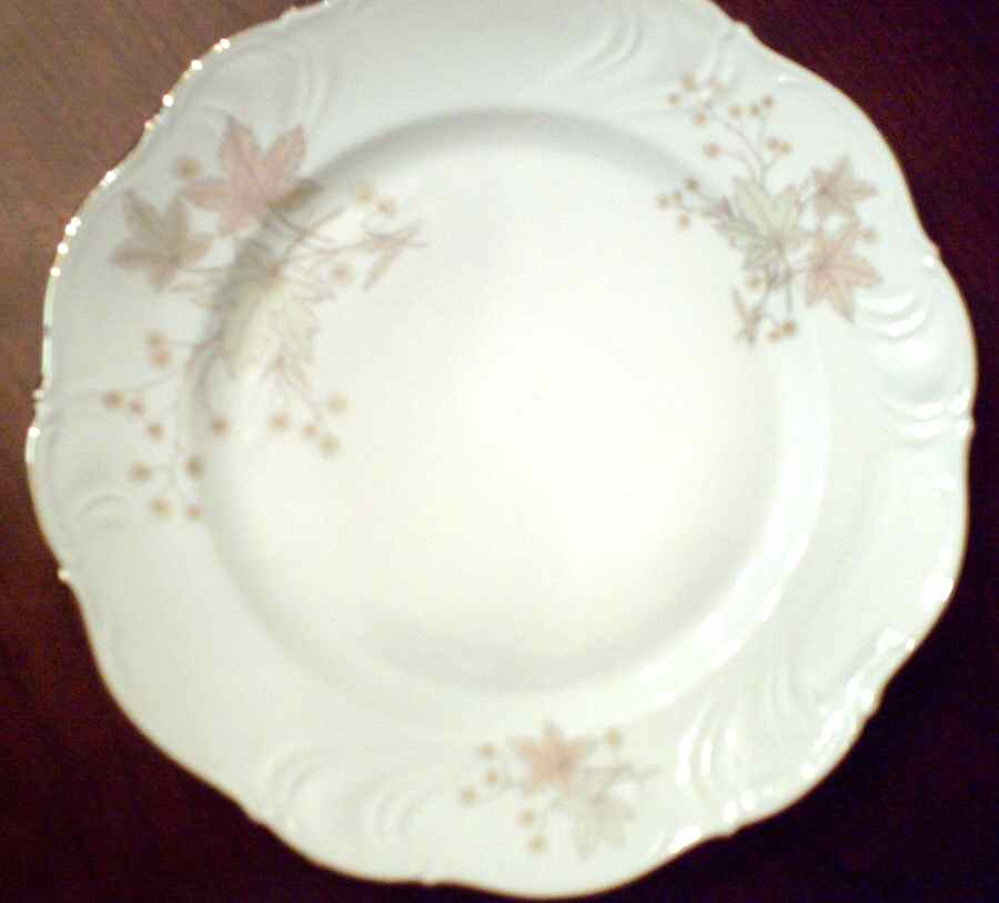 WIG1019 Dinner Plate by Winterling - Bavaria-1