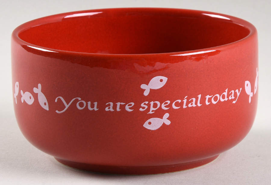 You Are Special Today Cat Bowl by Waechtersbach-1