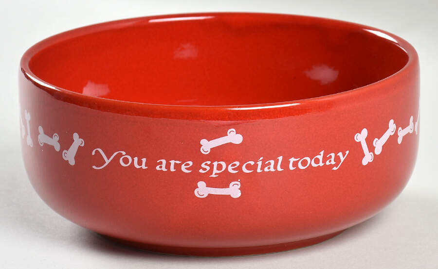 You Are Special Today Dog Bowl by Waechtersbach-1