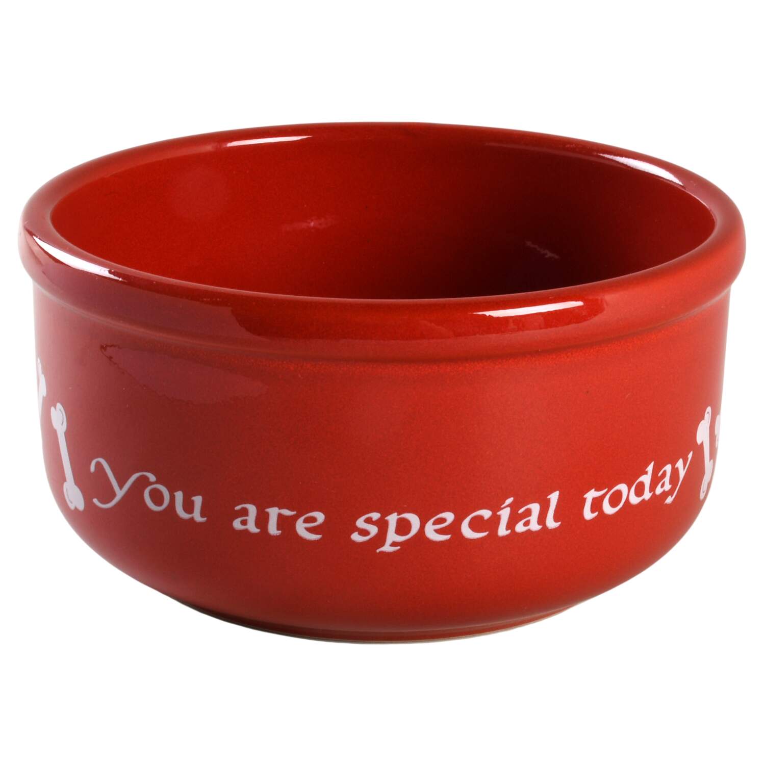You Are Special Today Dog Bowl by Waechtersbach-1