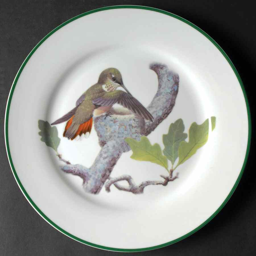 WFE7 Dinner Plate by National Wildlife Federation-1