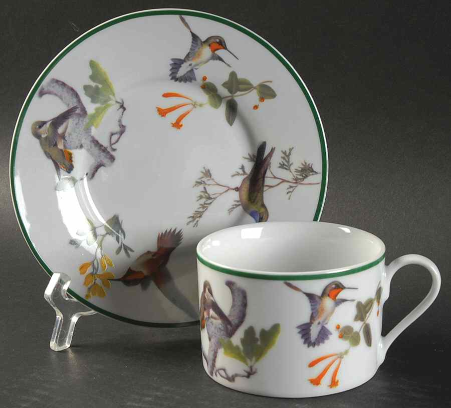 WFE7 Flat Cup & Saucer Set by National Wildlife Federation-1