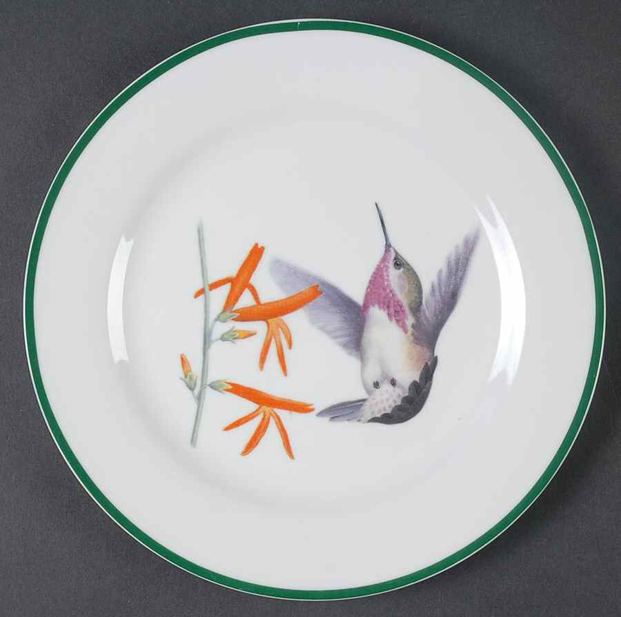 WFE7 Salad Plate by National Wildlife Federation-1