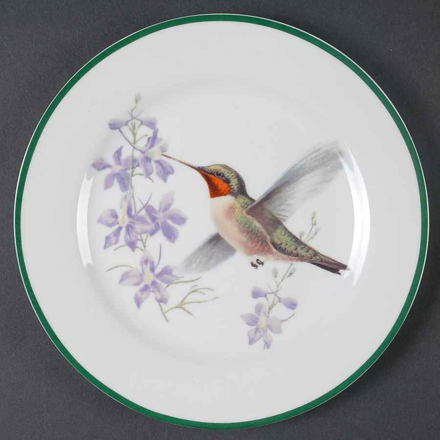 WFE7 Salad Plate by National Wildlife Federation-1