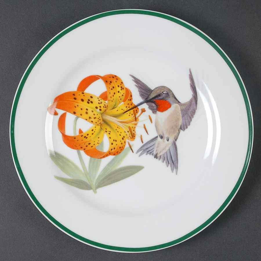 WFE7 Salad Plate by National Wildlife Federation-1