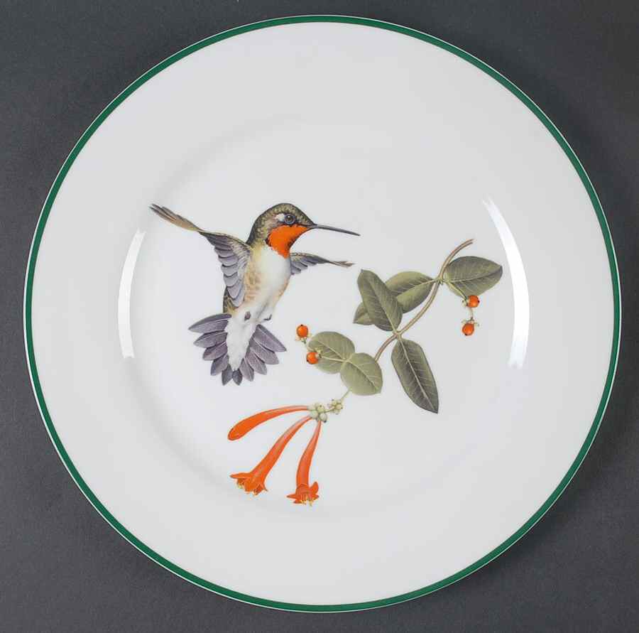 WFE7 Dinner Plate by National Wildlife Federation-1