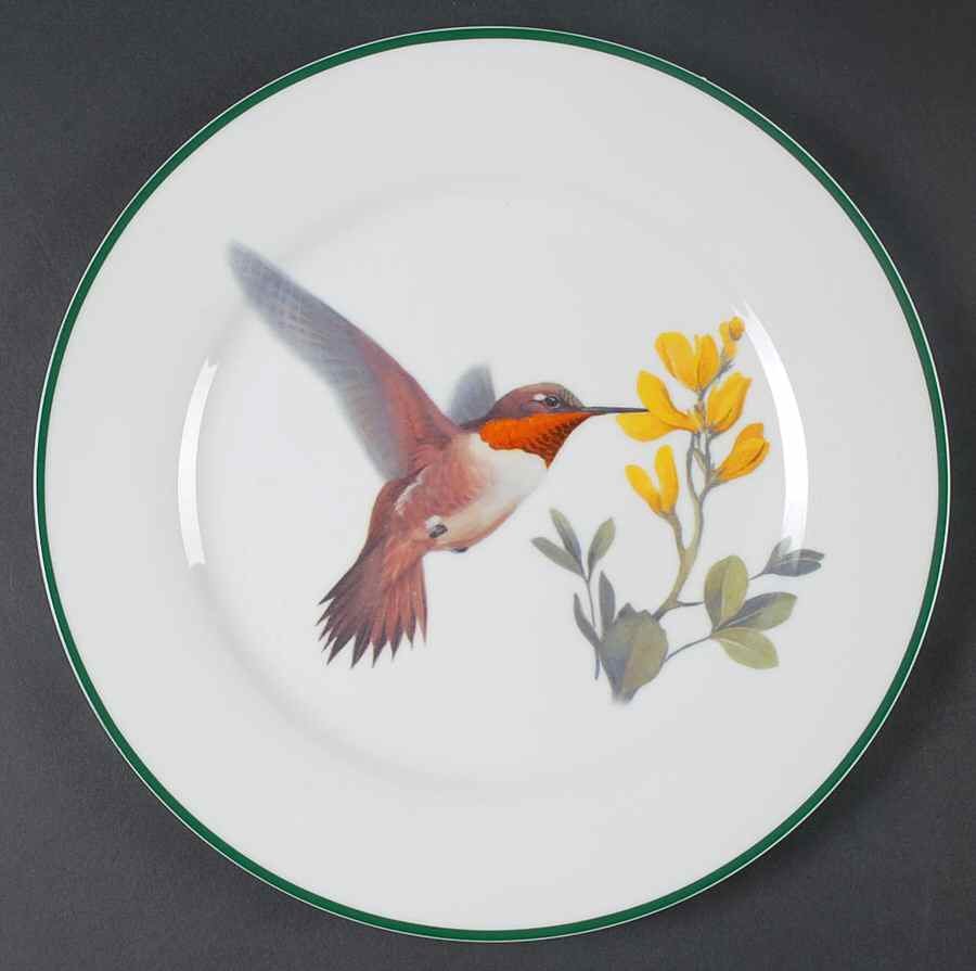 WFE7 Dinner Plate by National Wildlife Federation-1