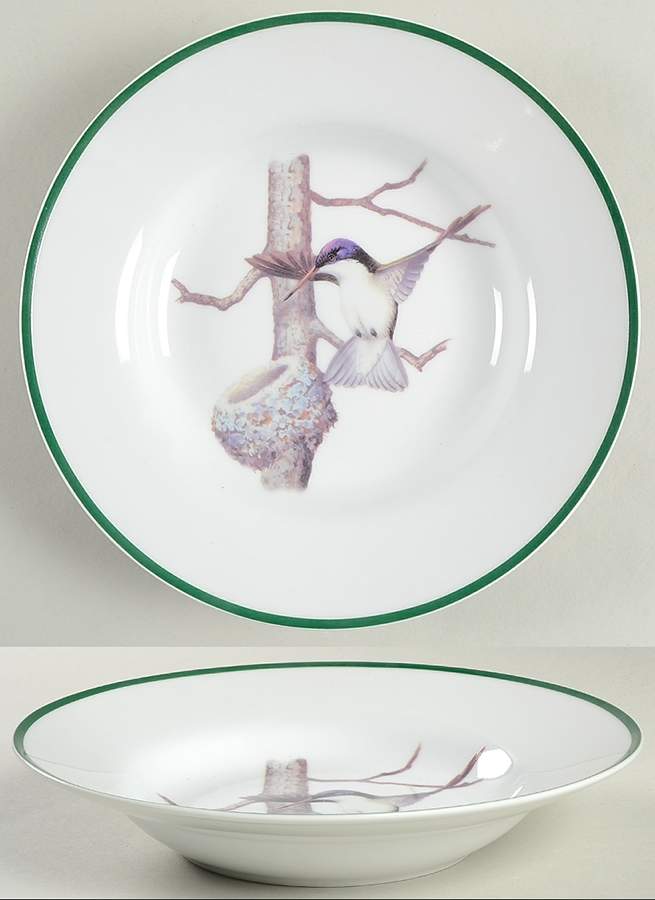 WFE7 Rim Soup Bowl by National Wildlife Federation-1