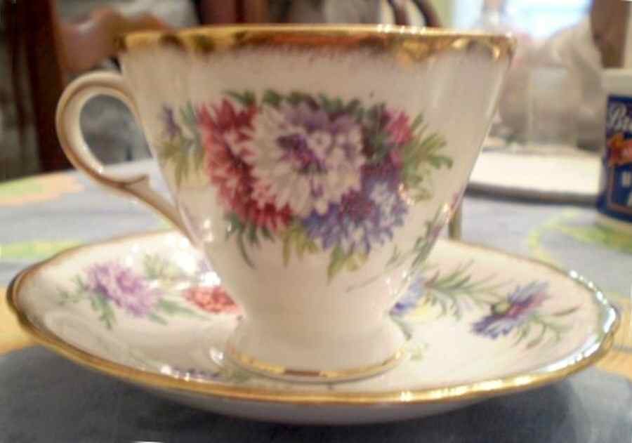 Harvest Glory(Brushed Gold) Footed Cup & Saucer Set by Windsor (England)-1
