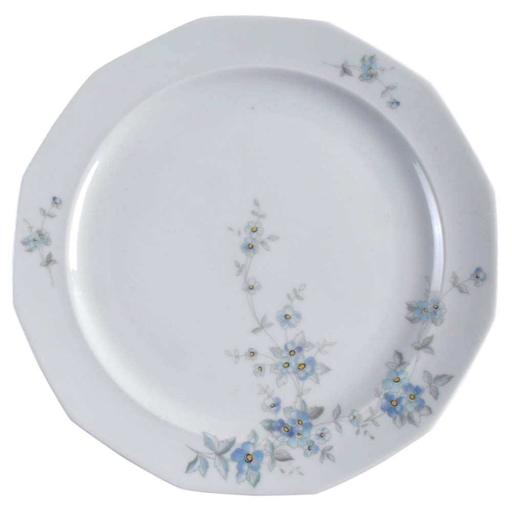 WIG1034 Dinner Plate by Winterling - Bavaria-1