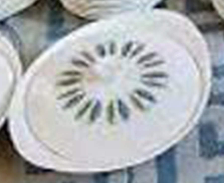 Samos Round Covered Vegetable by Wedgwood-1