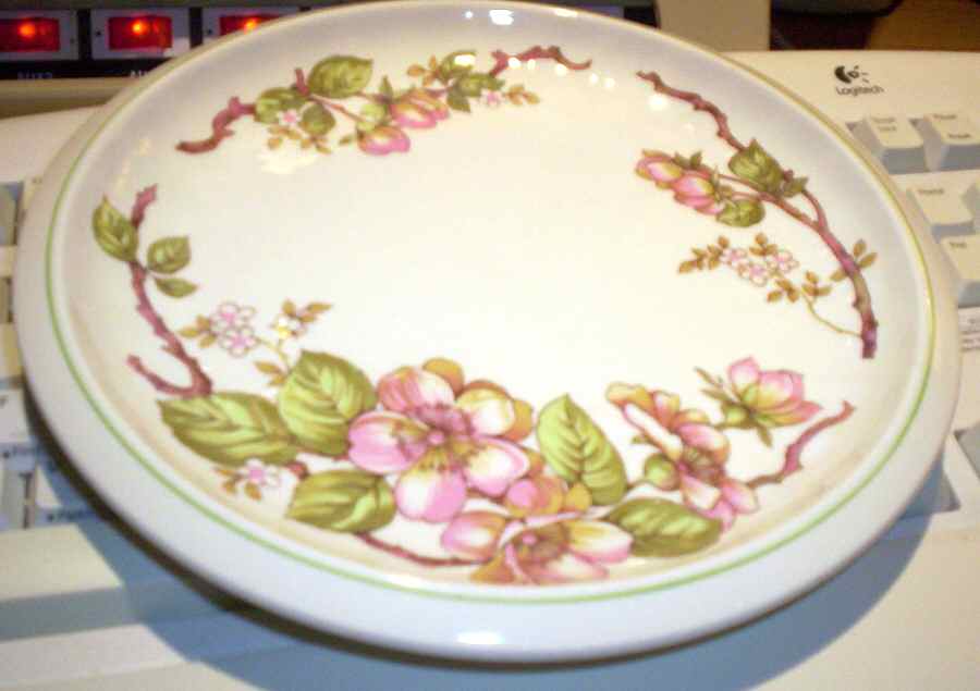 Apple Blossom Dinner Plate by Wedgwood-1