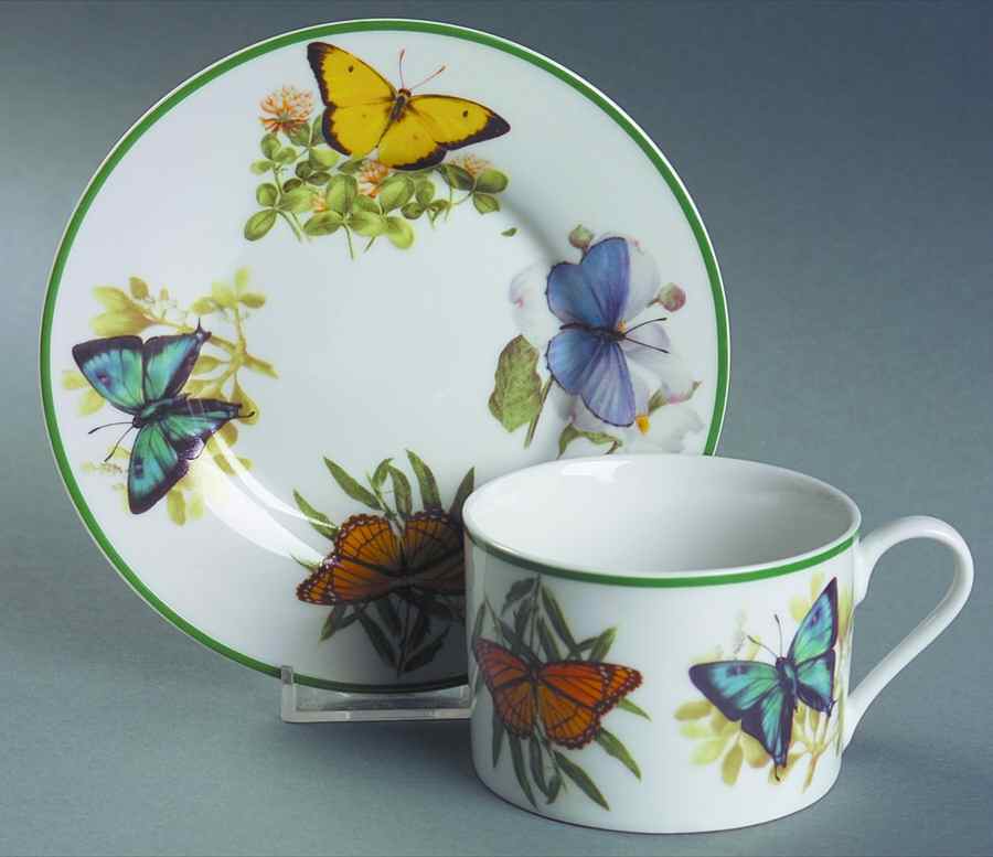 WFE8 Flat Cup & Saucer Set by National Wildlife Federation-1