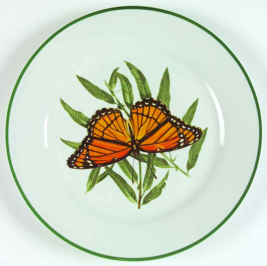 WFE8 Dinner Plate by National Wildlife Federation-1