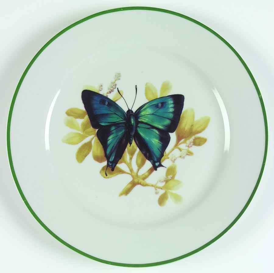 WFE8 Dinner Plate by National Wildlife Federation-1