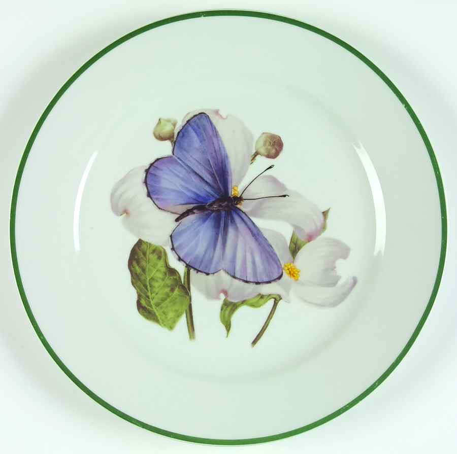 WFE8 Dinner Plate by National Wildlife Federation-1