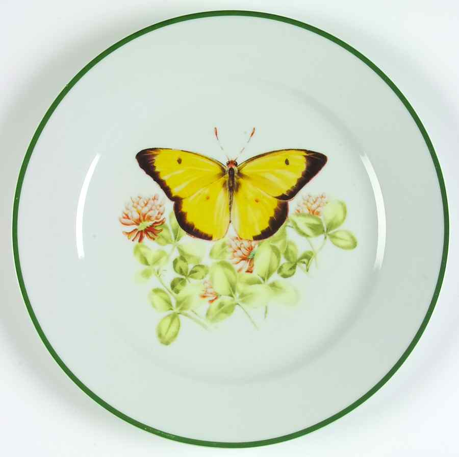 WFE8 Dinner Plate by National Wildlife Federation-1