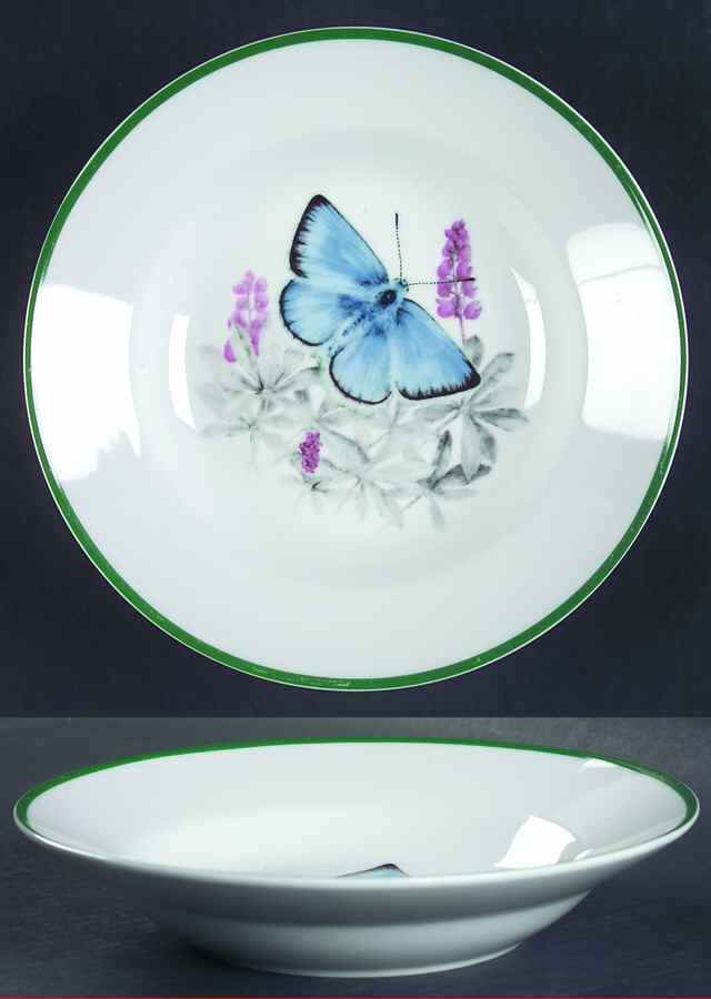 WFE8 Rim Soup Bowl by National Wildlife Federation-1