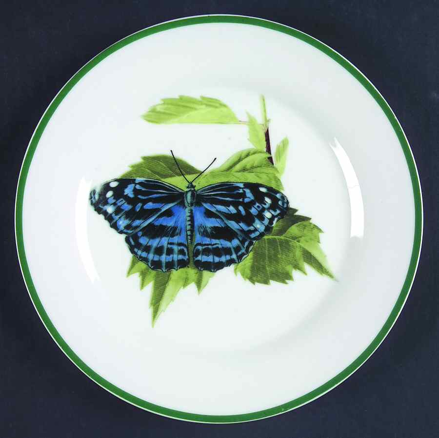 WFE8 Salad Plate by National Wildlife Federation-1