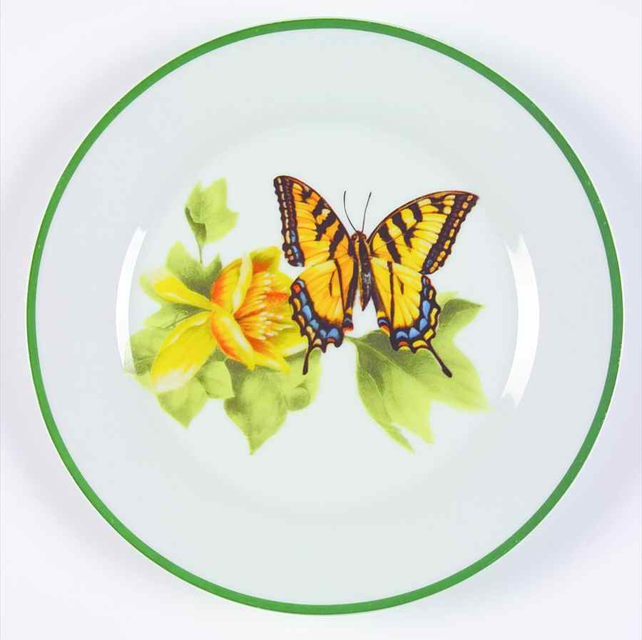 WFE8 Salad Plate by National Wildlife Federation-1