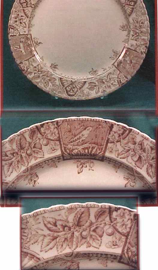 Alexandri Brown (Scallop) Dinner Plate by Wallis Gimson-1