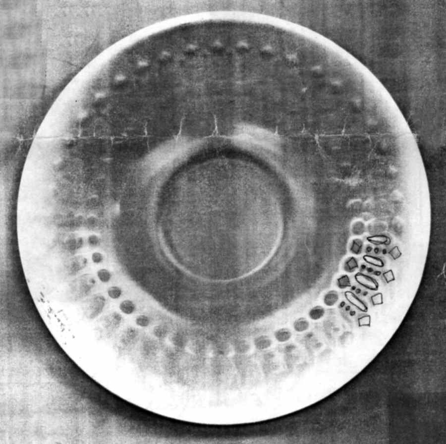 WIG1060 Saucer for Demitasse Cup by Winterling - Bavaria-1