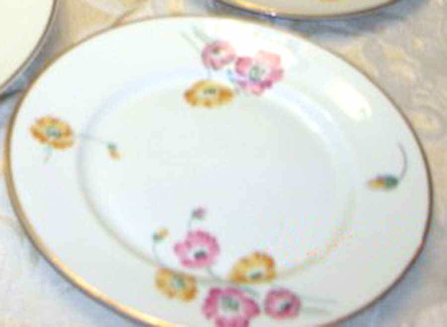 A9554 Salad Plate by Warwick-1
