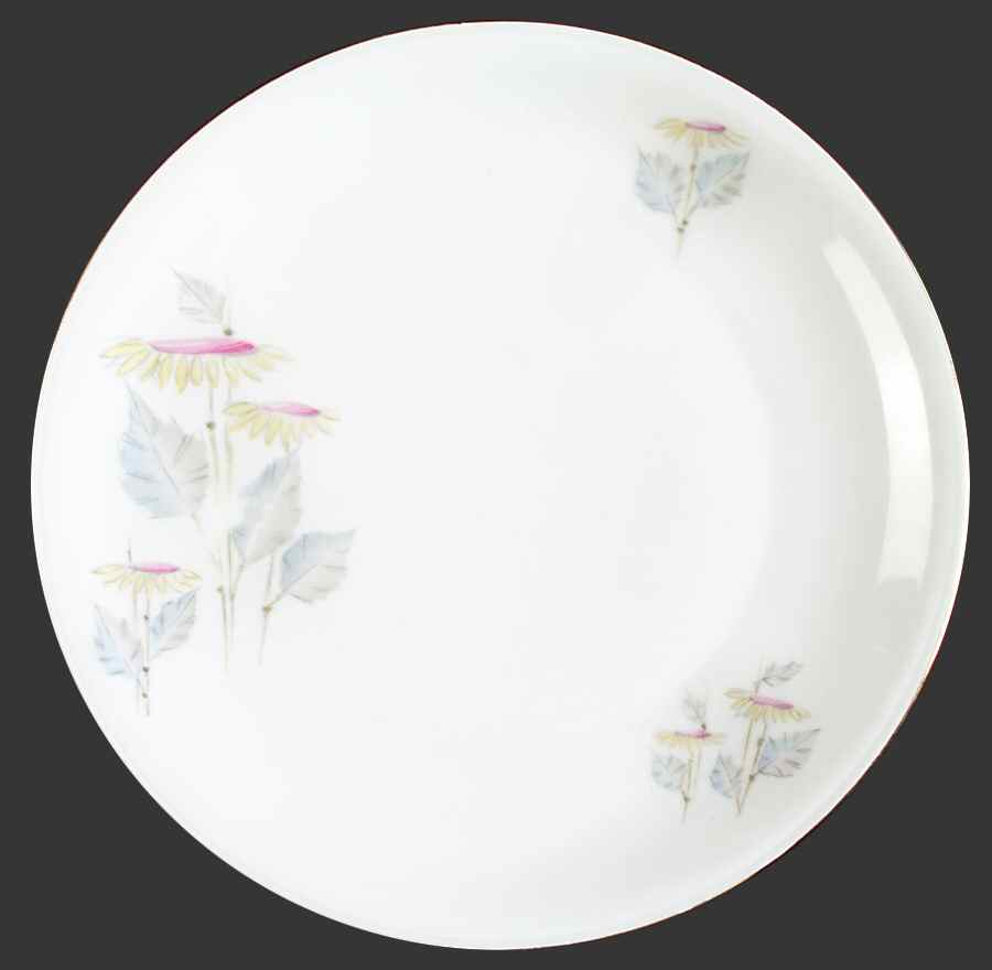 WIG1062 Dinner Plate by Winterling - Bavaria-1