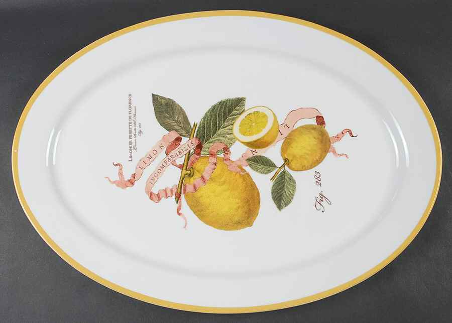 Lemon Botanical 18" Oval Serving Platter by Williams-Sonoma-1