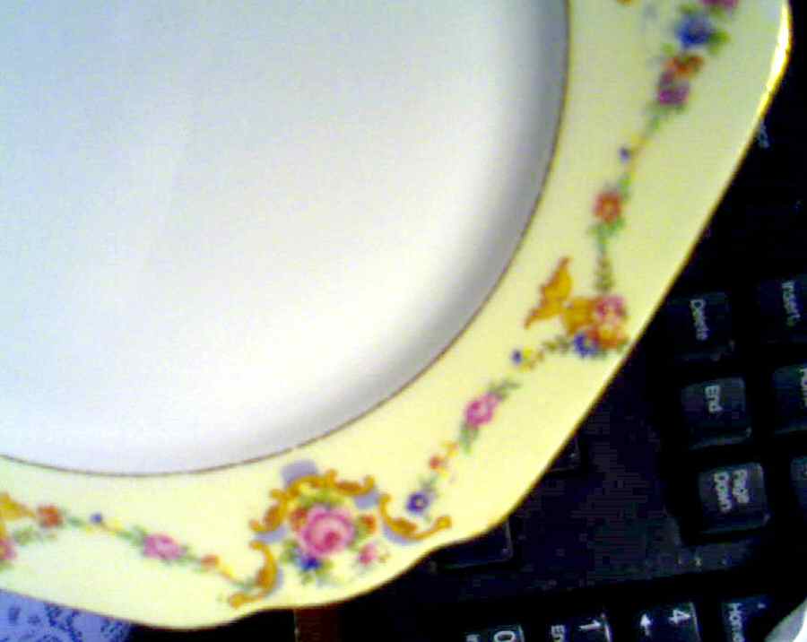 WIG1088 Dinner Plate by Winterling - Bavaria-1