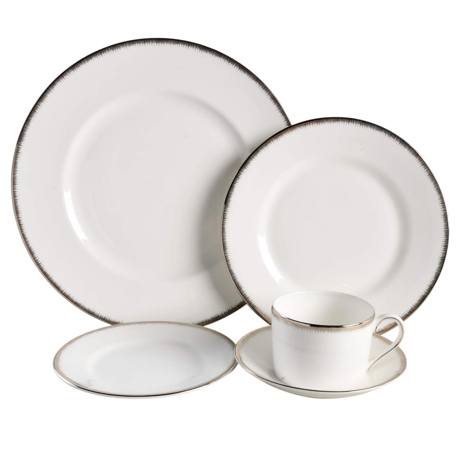 Silver Aster 5 Piece Place Setting by Wedgwood-1