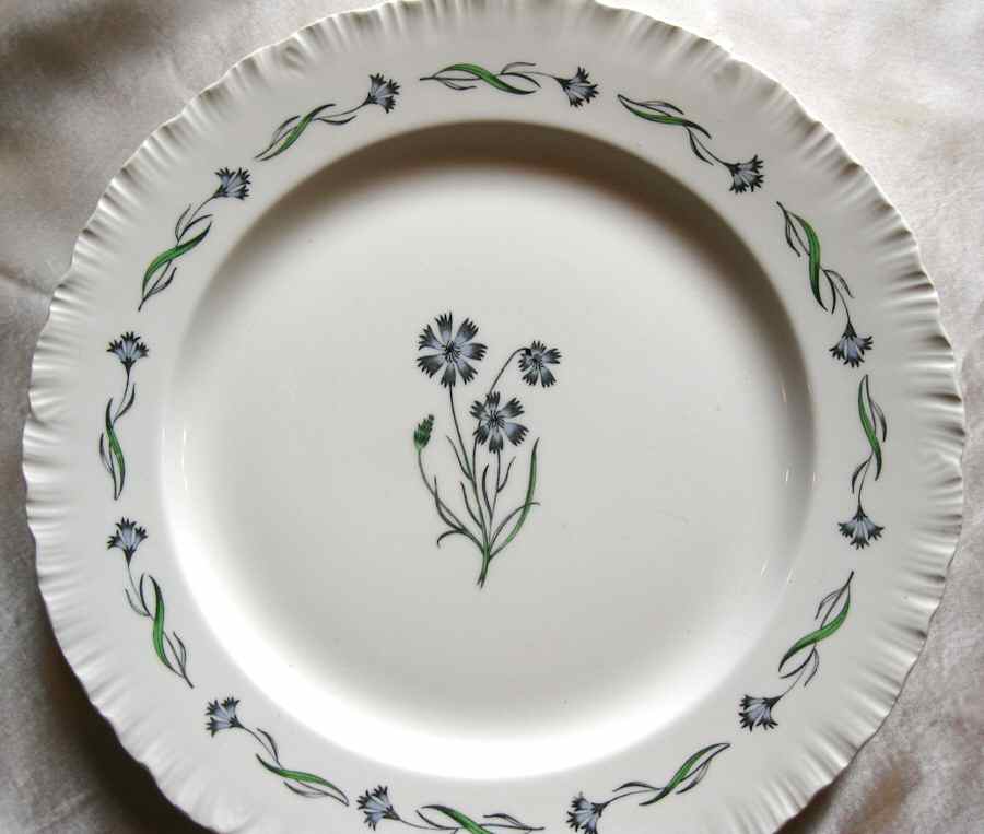 Montana Dinner Plate by Wedgwood-1